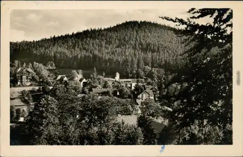 Bärenfels (Erzgebirge)-Altenberg Panorama-Ansicht, Spitzberg 1956