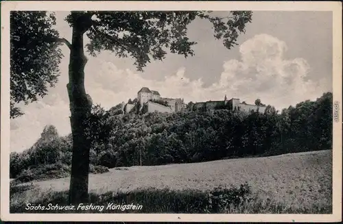 Ansichtskarte Königstein (Sächsische Schweiz) Panorama Ansicht 1951