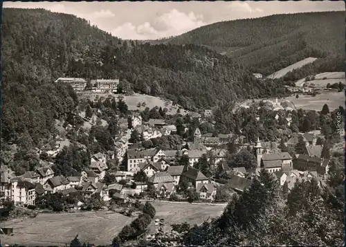 Ansichtskarte Bad Herrenalb Panoramablick 1956