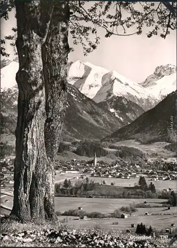 Ansichtskarte Ansichtskarte Oberstdorf (Allgäu) Panorama-Ansicht 1959