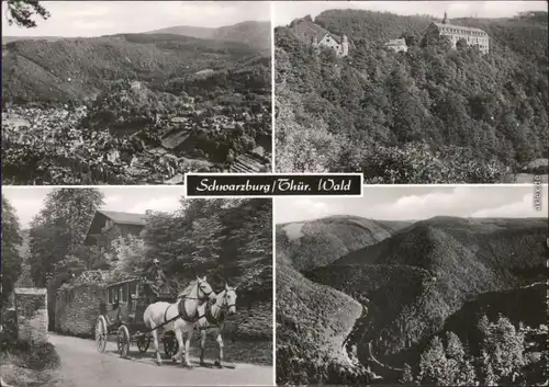 Ansichtskarte Schwarzburg Überblick, Schloss, Kutsche, Panorama 1979