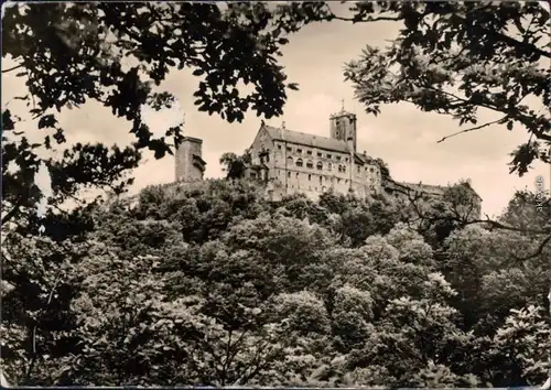 Ansichtskarte Eisenach Wartburg  bb 1956