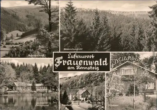 Frauenwald Panorama-Ansicht,  Fraubachmühle, Milchbar vv 1970