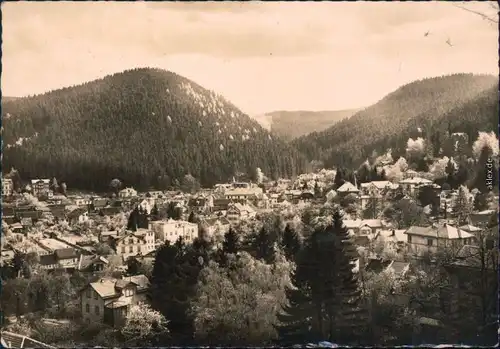 Ansichtskarte Friedrichroda Panorama mit Gottlob 1962