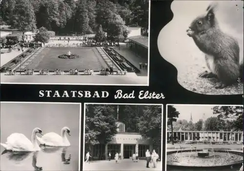 Ansichtskarte Bad Elster Kurpark, Brunnen, Schwäne 1976