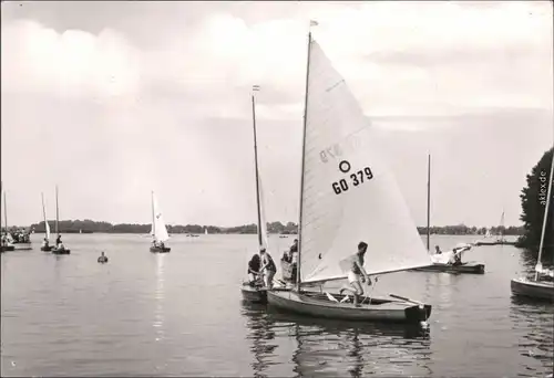 Ansichtskarte Goyatz-Schwielochsee Schwielochsee, Segelboote 1980