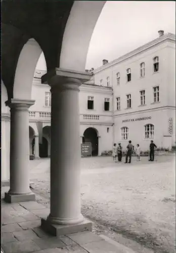 Ansichtskarte Neuzelle Institut für Lehrerbildung 1979