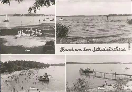 Ansichtskarte Schwielochsee Zaus, Kiewisch, Jessern, Plaskow 1982