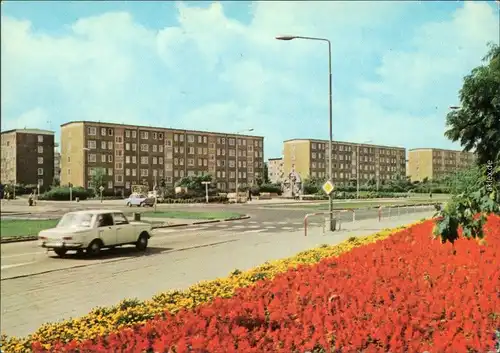 Ansichtskarte Südstadt-Rostock Altbauhäuser, Blumenbeet 1977