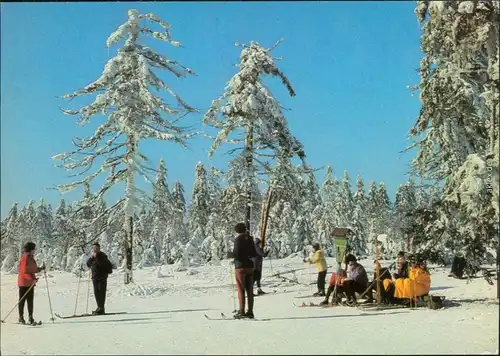 Ansichtskarte  Skifahrer am Waldrand 1982