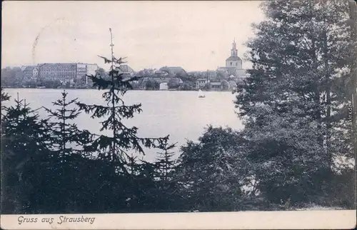 Ansichtskarte Strausberg Blick über den See aud sie Stadt 1906 