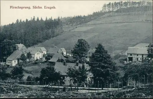 Ansichtskarte Hirschsprung-Altenberg (Erzgebirge) Partie in der Stadt 1914 