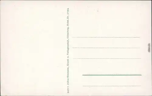 Ansichtskarte Insel Amrum Spezialkarte Insel Amrum 1928 