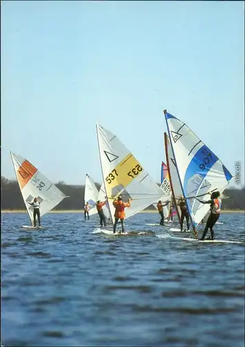 Ansichtskarte Potsdam Osterregatta der Surfer auf dem See 1989