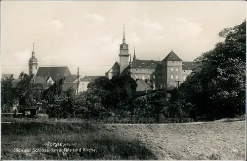 Ansichtskarte Torgau Blick auf Schloß und Kirche 1930 