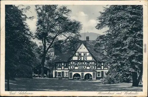 Ansichtskarte Bad Salzbrunn Szczawno-Zdrój Wiesenhaus und Hochwald 1930 
