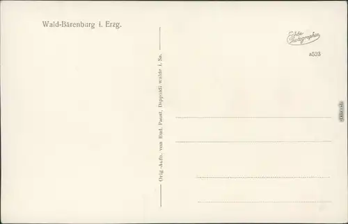 Waldbärenburg-Altenberg (Erzgebirge) Bergfried, Erzgeb. Heim, Schäfermühle 1926