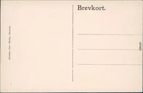 Ansichtskarte Horsens Parkpartie mit Taubenhaus Midtjylland : Danmark 1915