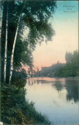 Ansichtskarte Grillenburg-Tharandt Grillenburger Wald Seeren-Teich 1918 