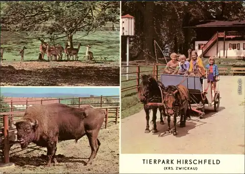 Ansichtskarte Voigtsgrün-Hirschfeld Tierpark Hirschfeld, belebt 1979