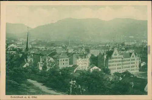 Ansichtskarte Tetschen-Bodenbach Decín Panoramablick mit Kirche 1924