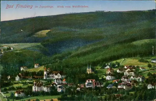 Bad Flinsberg Świeradów-Zdrój Panoramablick - Blick vom  1916