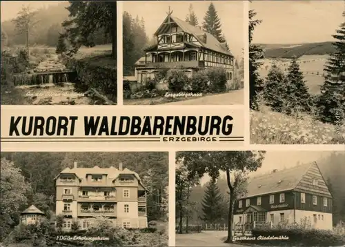 Waldbärenburg-Altenberg (Erzgebirge) Rote Weiheritz,  Gasthaus Riadelmühle 1964