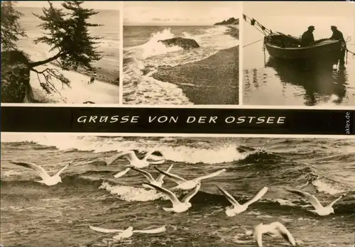 Allgemein Mecklenburg Vorpommern Ostsee - Fischer, Möwen, Steilküste 1970 