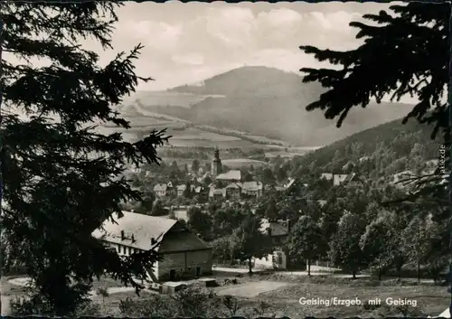Ansichtskarte Geising-Altenberg (Erzgebirge) Panorama-Ansicht 1963