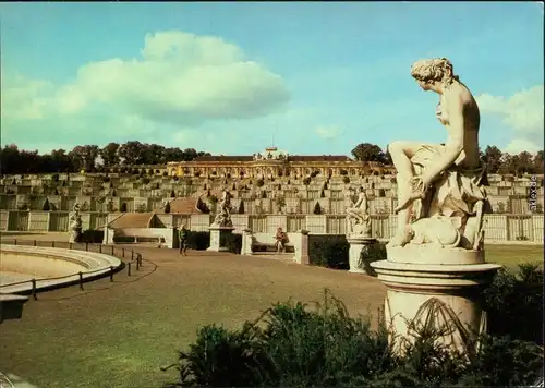 Ansichtskarte Potsdam Schloss Sanssouci mit Weinbergterrassen 1985