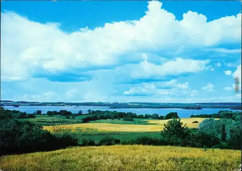 Ansichtskarte Neubrandenburg Naturschutzgebiet "Nonnenhof" mit der Lieps 1984