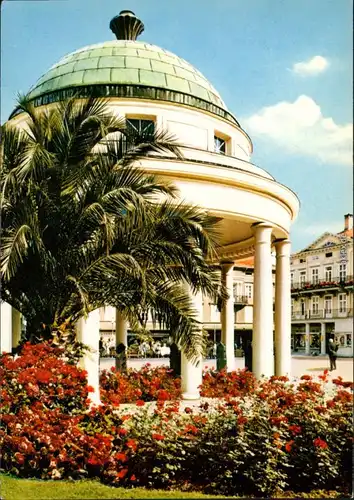 Ansichtskarte Bad Pyrmont Deutschlands schönster Kurpark - Hylliger Born 1978