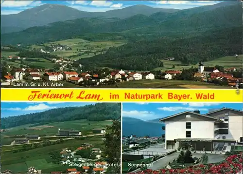 Lam (Oberpfalz) Panorama-Ansicht, Steigenberger Hotel, Sonnenhof 1988