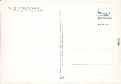 Ansichtskarte Titisee Panorama-Ansichten 1992