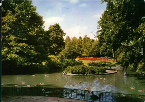 Ansichtskarte Bad Nauheim Kurpark 1980