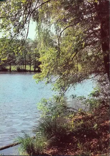 Ansichtskarte Spremberg Grodk Schloß mit Teich 1981