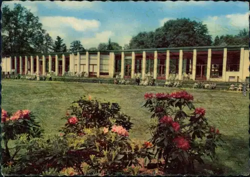 Ansichtskarte Bad Elster Wandelhalle 1960