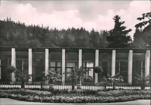 Ansichtskarte Bad Elster Wandelhalle 1963