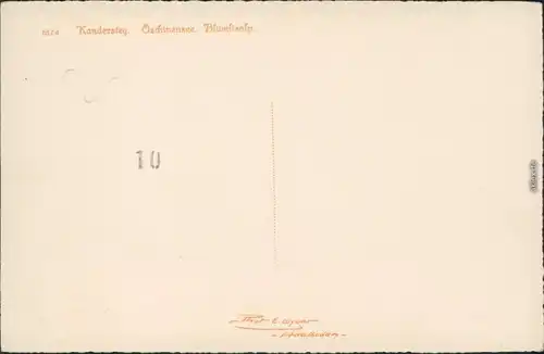 Ansichtskarte Kandersteg Öschinensee Blümlisalp 1928