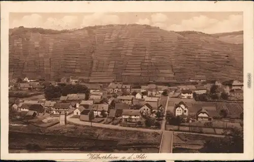 Ansichtskarte Walporzheim-Bad Neuenahr-Ahrweiler Panorama Blick 1923