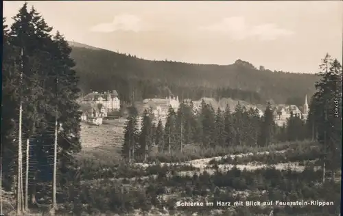 Ansichtskarte Schierke Blick auf Feuersteinklippen 1928 