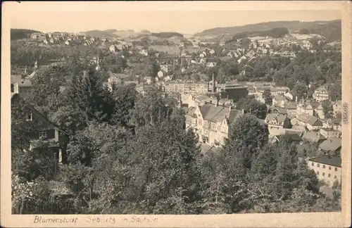 Ansichtskarte Sebnitz Blick auf die Stadt, Fabrik 1958 