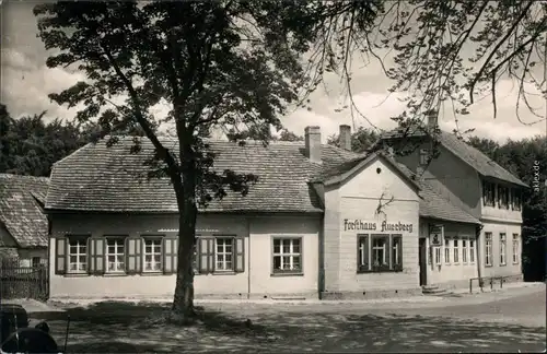 Ansichtskarte Auerberg-Stolberg (Harz) Gaststätte Forsthaus 1963