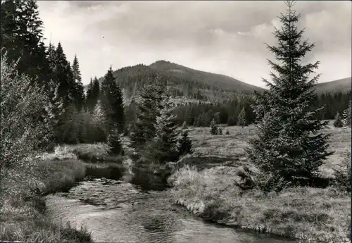 Ansichtskarte Schierke Die Bode 1975