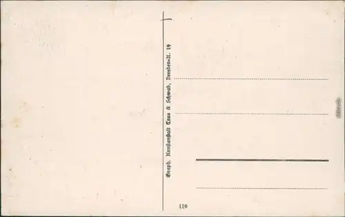 Ansichtskarte Bad Schandau Aufzug Sendigs Villen 1918 