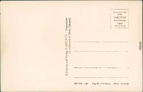 Ansichtskarte Hinterhermsdorf-Sebnitz Panorama-Ansicht 1955