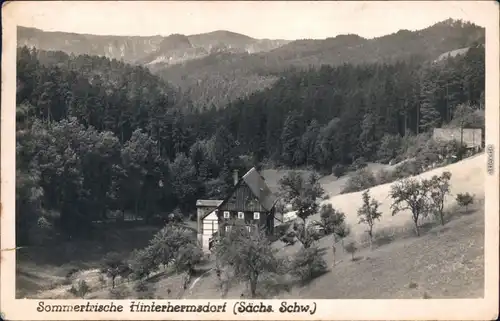 Ansichtskarte Hinterhermsdorf-Sebnitz Panorama-Ansicht 1951