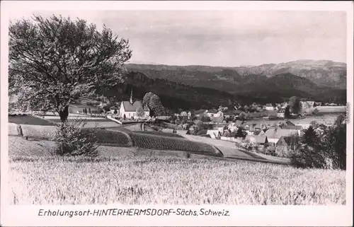 Ansichtskarte Hinterhermsdorf-Sebnitz Panorama-Ansicht 1963