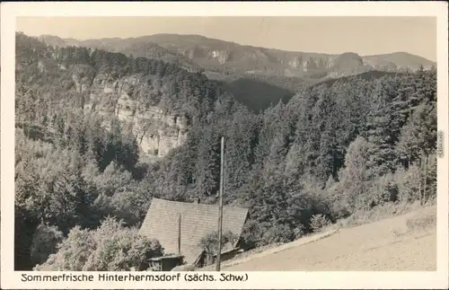 Ansichtskarte Hinterhermsdorf-Sebnitz Panorama-Ansicht 1930