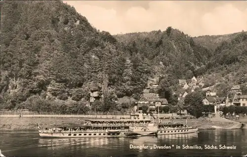 Ansichtskarte Schmilka Dampfer Dresden vor der Stadt 1964 